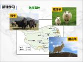 自然特征与农业PPT课件免费下载