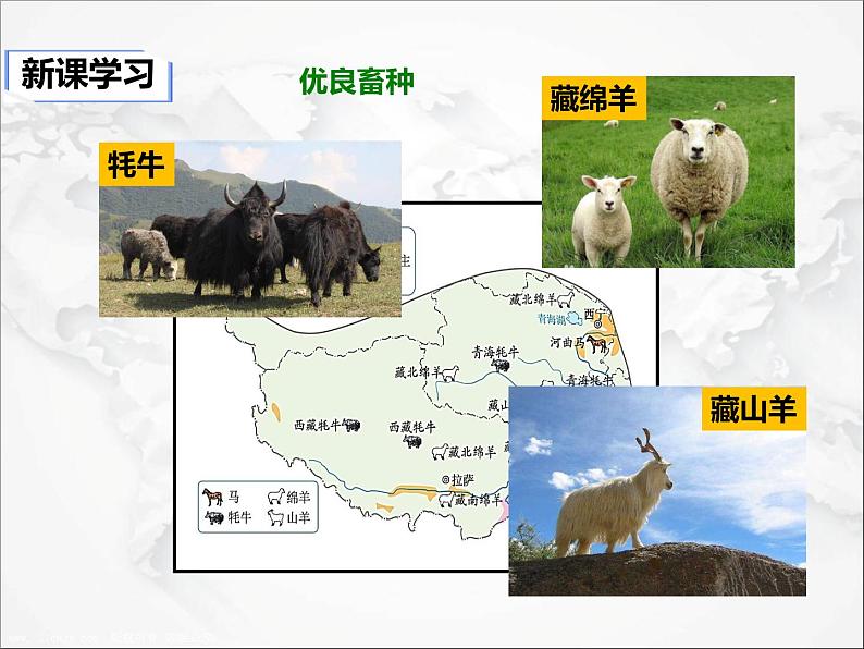 自然特征与农业PPT课件免费下载04