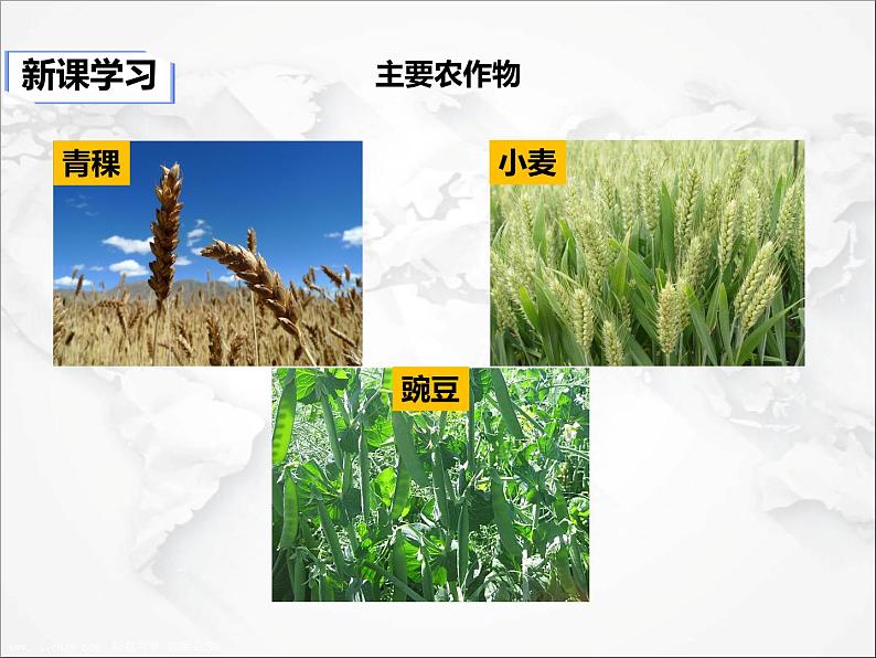 自然特征与农业PPT课件免费下载08