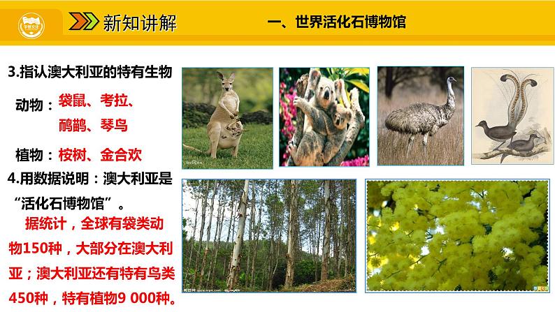 第八章 第四节 澳大利亚课件第5页