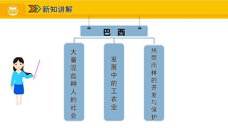 第九章 第二节 巴西课件第3页