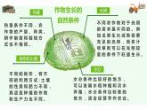 人教版八年级上册地理第四章第二节农业（第二课时）课件