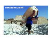 晋教版地理八年级下册 7.2  第2课时　绿洲农业　能源资源的开发和利用  边境贸易和旅游业课件PPT