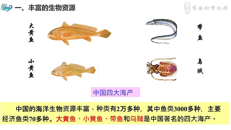 3.4 中国的海洋资源课件第5页