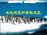 7.5：北极地区和南极地区    课件