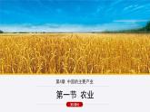 4.1农业 课件（第二课时）课件2021-2022学年湘教版地理八年级上册