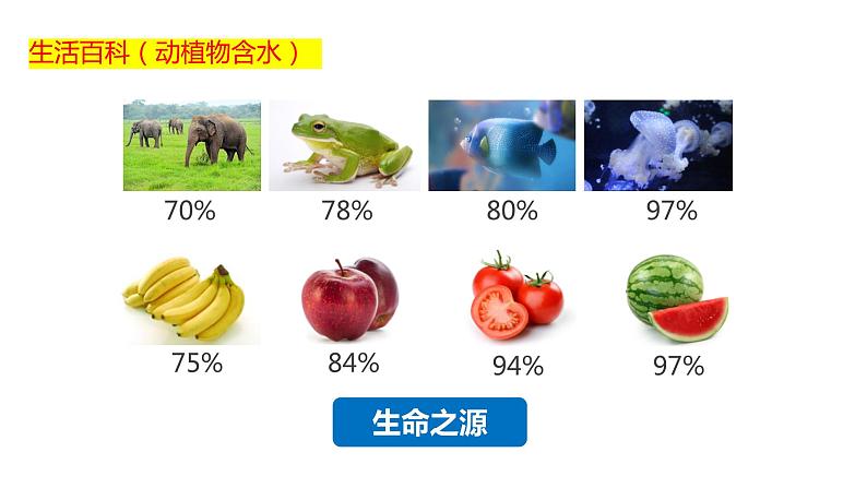 3.3 水资源（课件）（共33张PPT）第3页