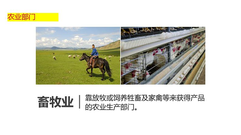 4.2 农业（课件）（共36张PPT）第6页