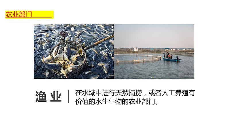 4.2 农业（课件）（共36张PPT）第8页