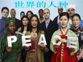 湘教版地理七年级上册 第三章 第二节 世界的人种_（课件）