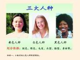 湘教版地理七年级上册 第三章 第二节 世界的人种(12)（课件）