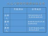 湘教版地理七年级上册 第三章 第二节 世界的人种 (3)（课件）