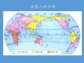 湘教版地理七年级上册 第三章 第二节 世界的人种 (3)（课件）