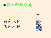 湘教版地理七年级上册 第三章 第二节 世界的人种(6)（课件）