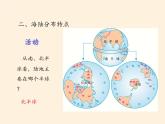 湘教版地理七年级上册 第二章 第二节   世界的海陆分布(8)（课件）