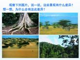 湘教版地理七年级上册 第四章 第四节 世界主要气候类型（课件）