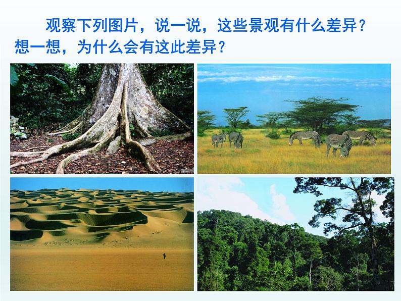 湘教版地理七年级上册 第四章 第四节 世界主要气候类型（课件）第2页