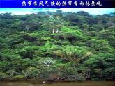 湘教版地理七年级上册 第四章 第四节 世界主要气候类型_（课件）