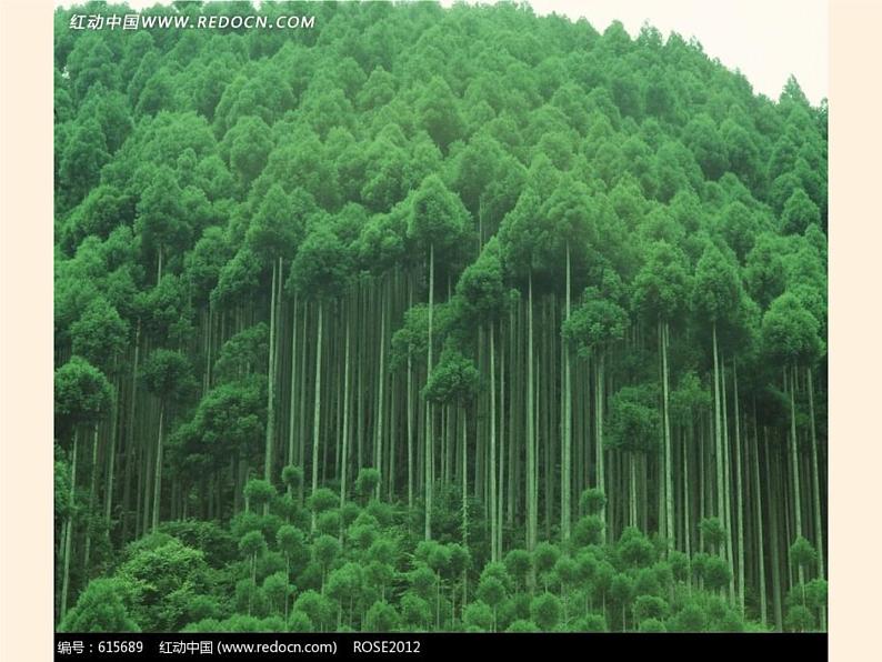 湘教版地理七年级上册 第四章 第四节 世界主要气候类型（课件）第2页