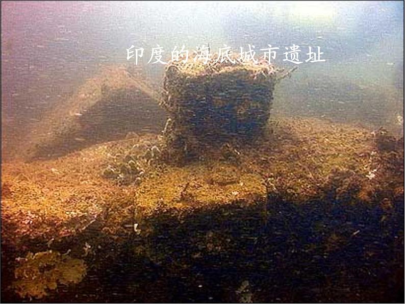 商务星球版地理七年级上册 第三章 第二节 海陆变迁(4)（课件）04