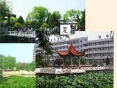 商务星球版地理七年级上册 第五章 第四节第四节 世界的气候(4)（课件）