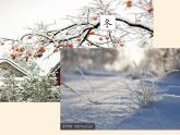 商务星球版地理七年级上册 第五章 第四节第四节 世界的气候(4)（课件）