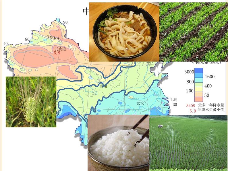 商务星球版地理七年级上册 第四章 活动课 气候与我们的生产生活（课件）05