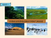 商务星球版地理七年级上册 第五章 第四节第四节 世界的气候（课件）
