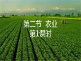 人教版 (新课标) 地理 八年级上册  第四章  第二节  农业 第1课时课件PPT