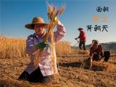 1.1中国疆域北方黄土地区课件PPT