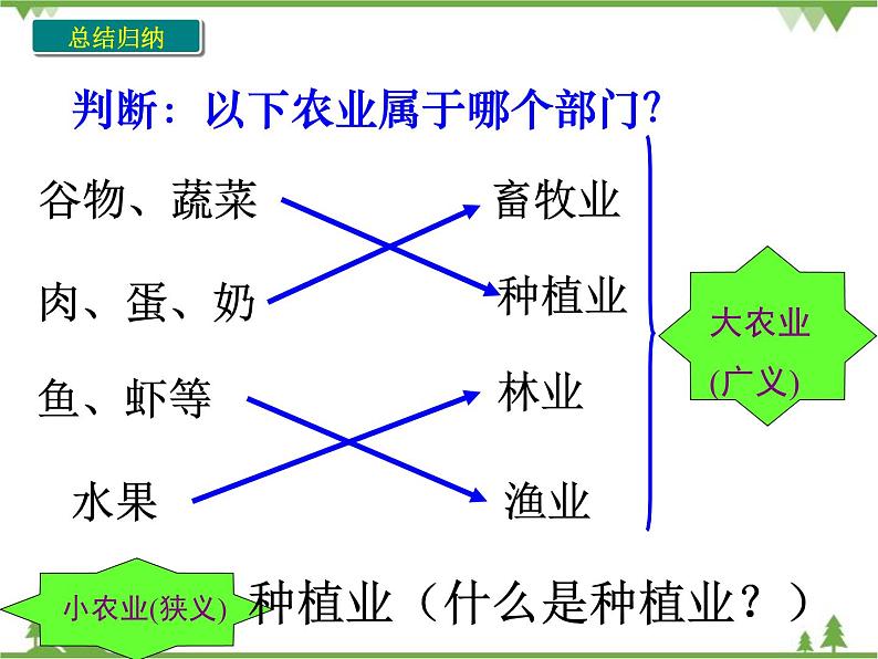 人教版地理八年级上册 4.2农业 课件07