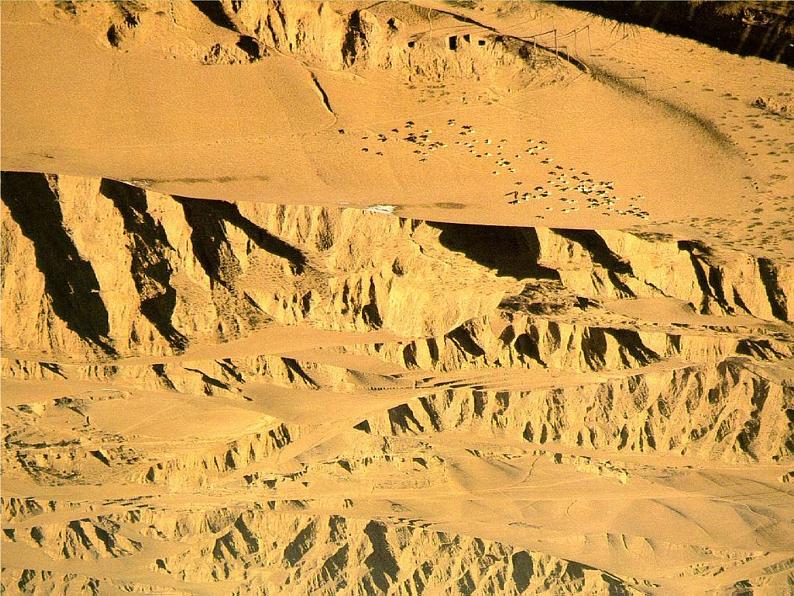 人教版地理八年级下册 6.3 世界最大的黄土堆积区——黄土高原 课件第3页