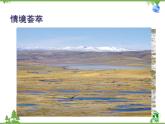 人教版地理八年级下册 9.2高原湿地——三江源地区  课件