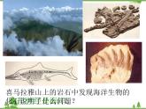 人教版七年级上册 地理：2.2《海陆的变迁》课件2
