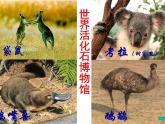 商务星球版地理七年级下册《澳大利亚》复习课件