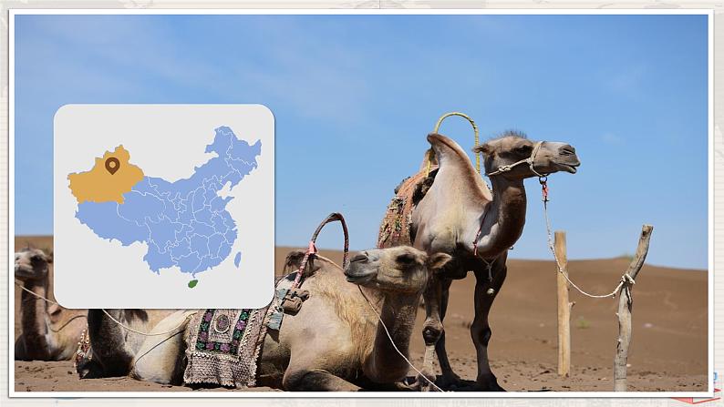 湘教版地理八下：5.1《四大地理区域的划分》（课件+教案）05