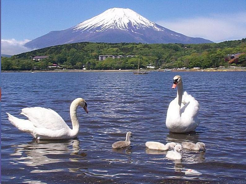 日本第2页
