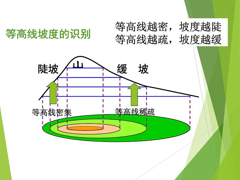 鲁教版（五四制）地理六年级上册 第一章 第四节 地形图的判读_ 课件第8页