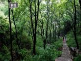 2021-2022学年初中地理人教版八年级上册 3.2 土地资源 教学课件