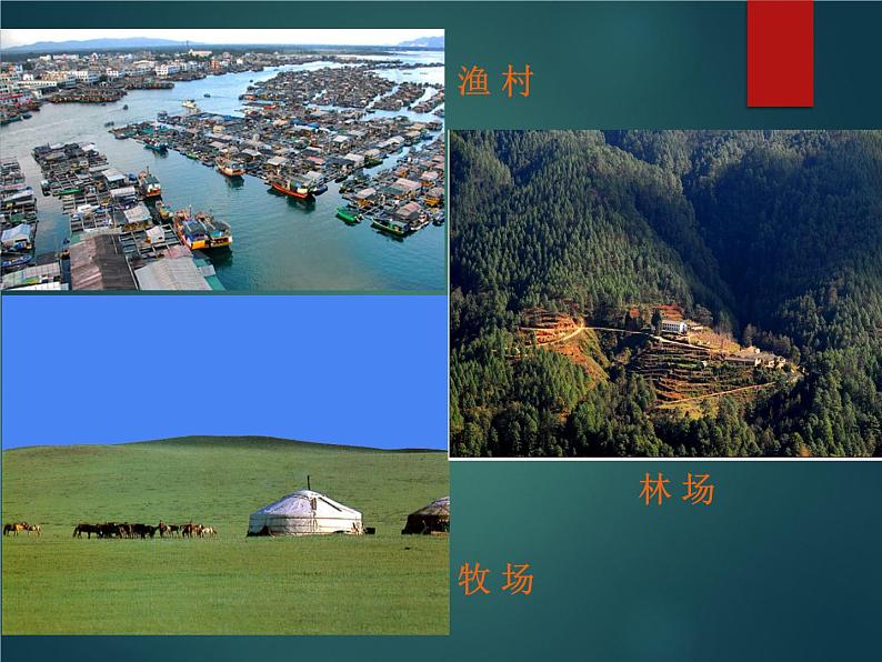 鲁教版（五四制）地理六年级上册 第四章 第三节 人类的聚居地——聚落_ 课件第5页