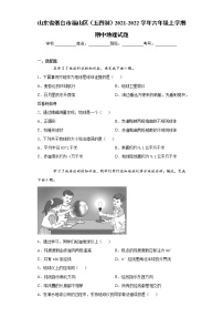 山东省烟台市福山区（五四制）2021-2022学年六年级上学期期中地理试题（word版 含答案）