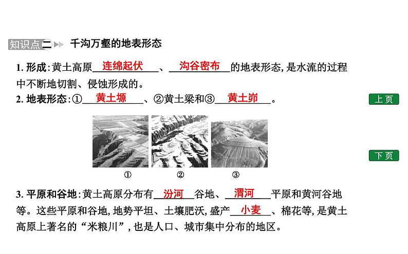 黄土高原——水土流失严重的地区PPT课件免费下载04