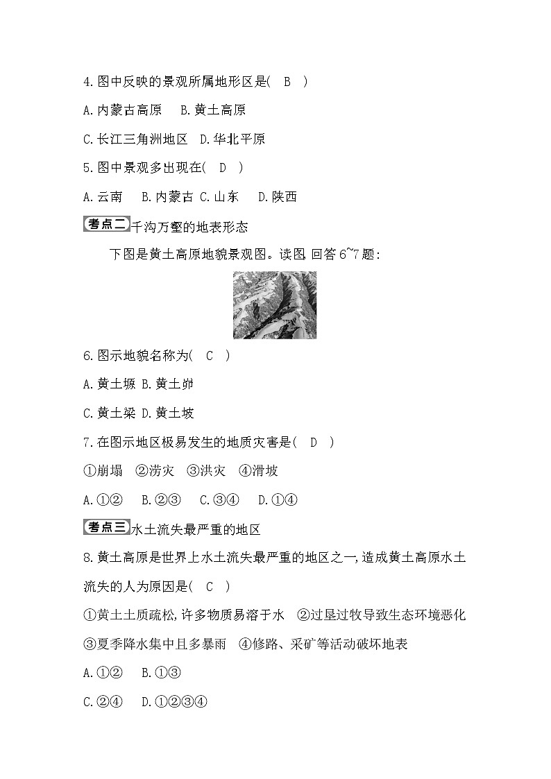 黄土高原——水土流失严重的地区PPT课件免费下载02