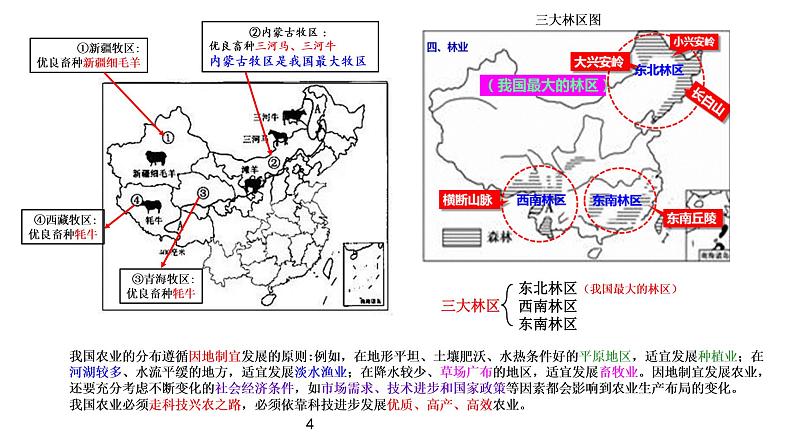 八年级上册第三、第四章重点知识课件PPT第4页