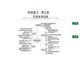 阶段复习　第五章课件PPT