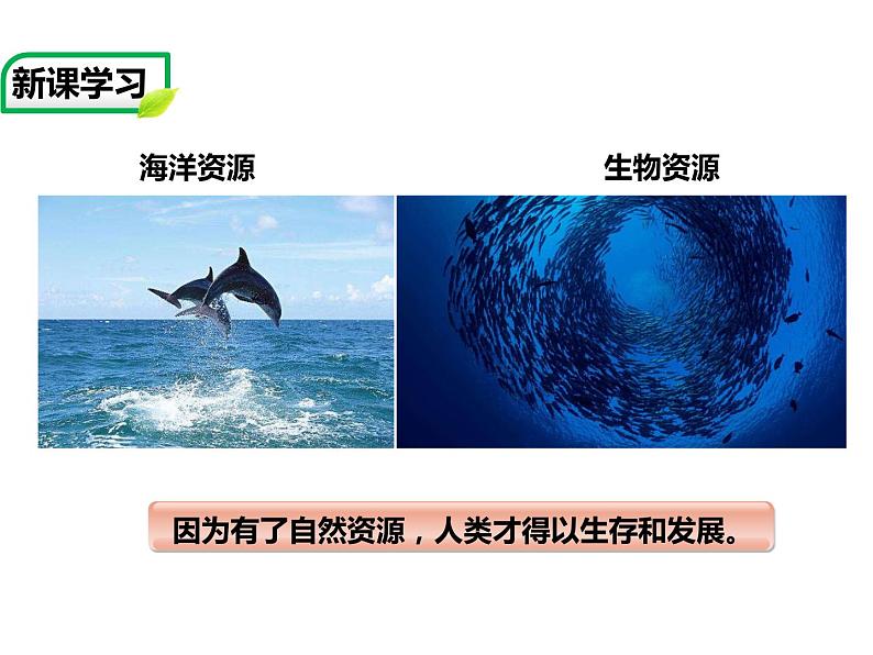 2021-2022学年中图版七年级下册地理4.1水资源及其开发利用(一)课件第5页