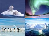 10-极地地区1自然环境课件2021-2022学年人教版地理七年级下册