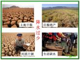 人教版地理七上第三章第三节  降水的变化与分布 课件