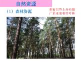 第四章俄罗斯课件PPT