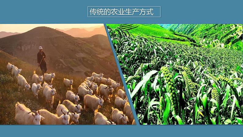 湘教版八下第八章第5节《 黄土高原的区域发展与居民生活》 第2课时课件第4页